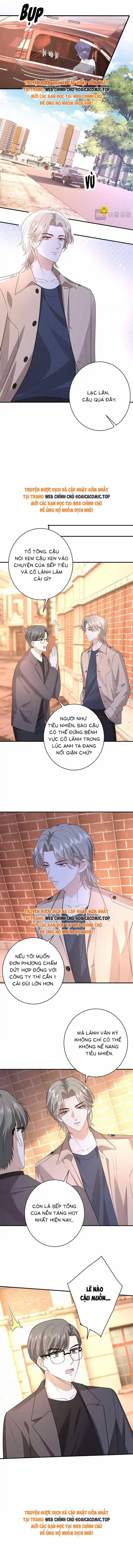 Đại Boss Thần Bí Lại Chiều Hư Vợ 49 trang 4