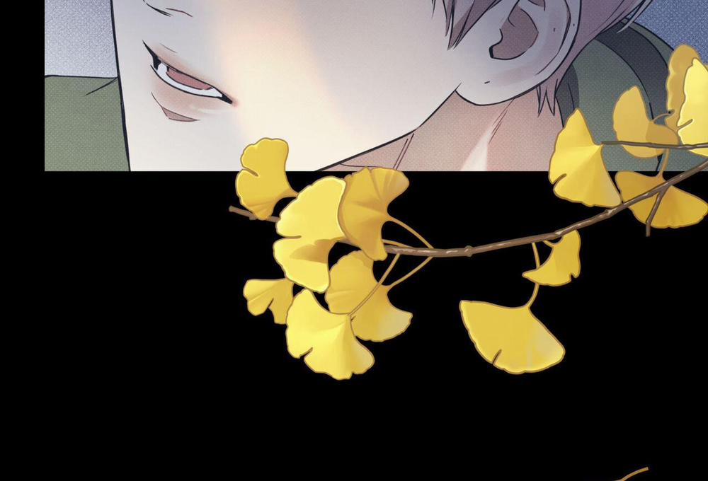 Dải Hợp Âm Trên Đại Dương Xanh 39 trang 65