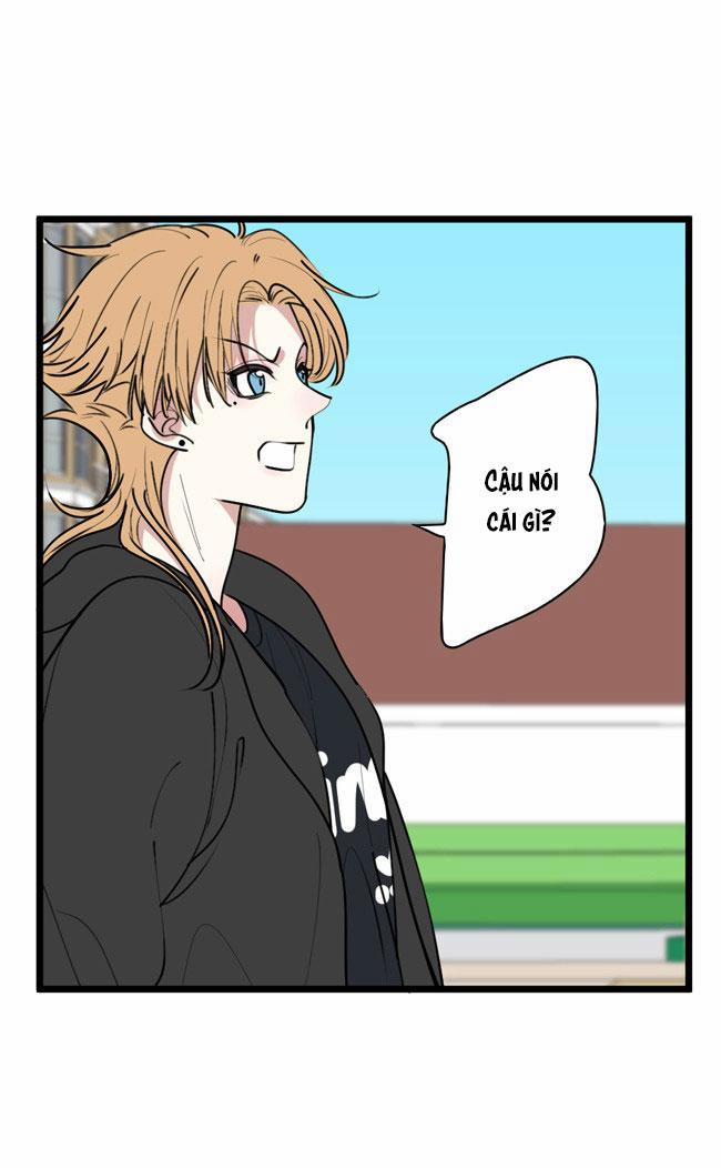 ĐẠI KIM CHỦ 11 trang 1