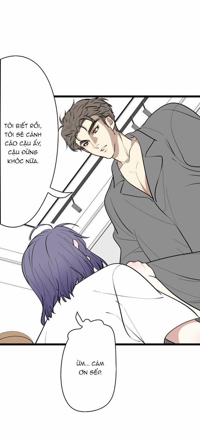 ĐẠI KIM CHỦ 11 trang 17