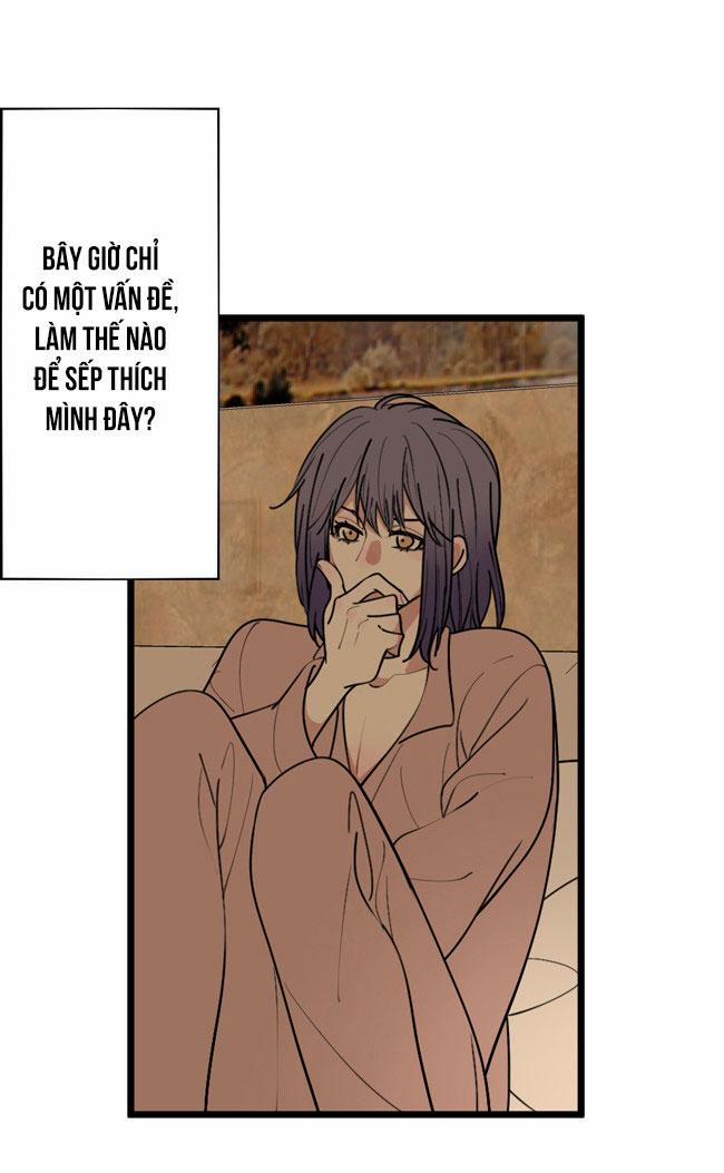 ĐẠI KIM CHỦ 14 trang 1