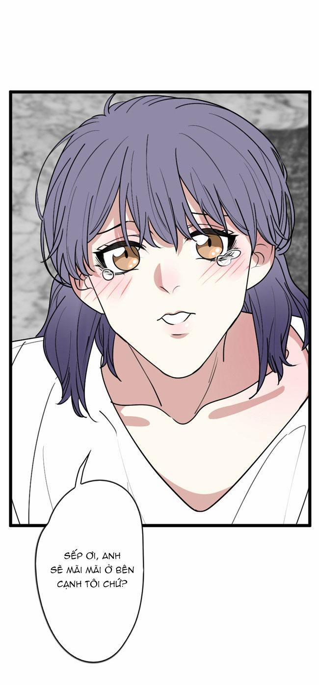 ĐẠI KIM CHỦ 15 trang 1