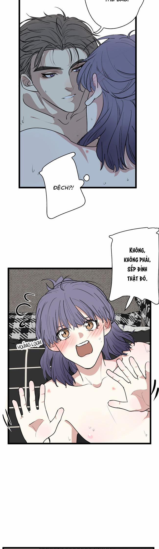 ĐẠI KIM CHỦ 4 trang 2