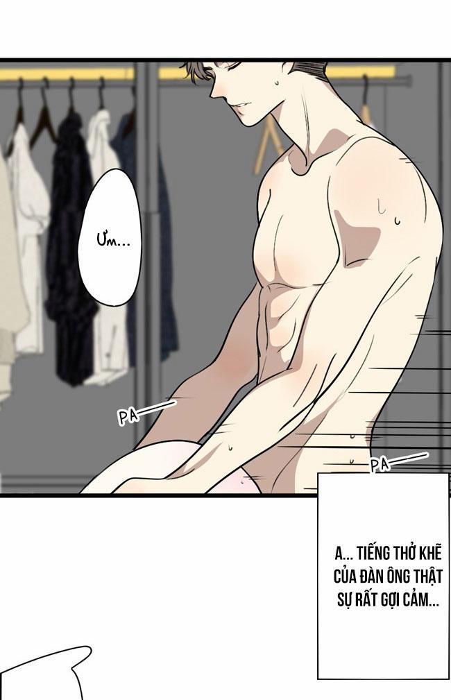 ĐẠI KIM CHỦ 8 trang 5