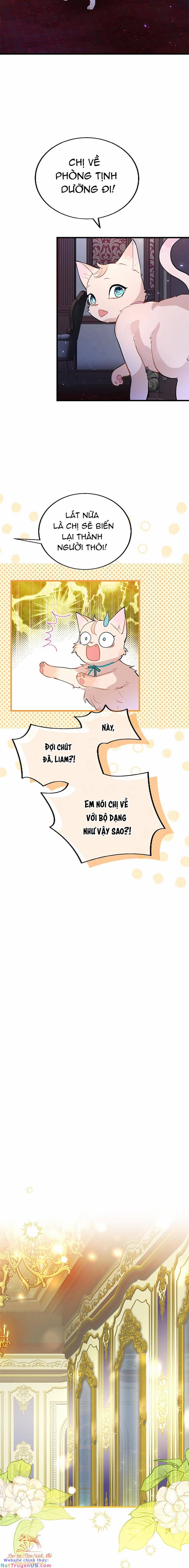 Đại Tiểu Thư Sao Phải Giả Nam 50 trang 12