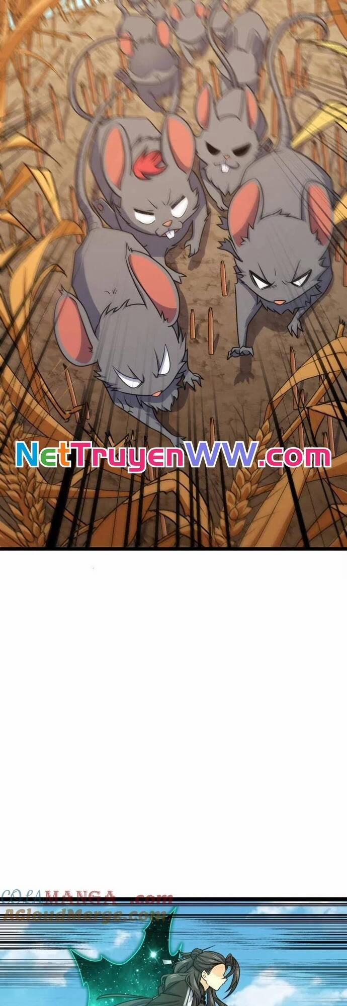 Đại Vương Tha Mạng 922 trang 17