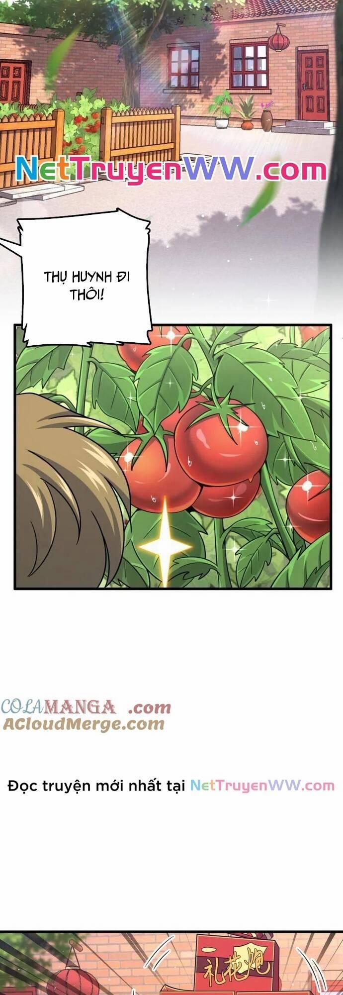 Đại Vương Tha Mạng 924 trang 1