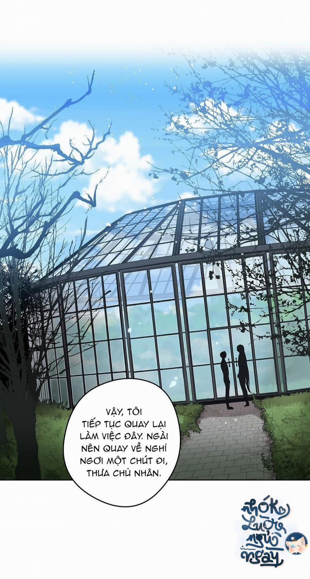 Đắm Chìm Trong Màu Mắt Anh 11 trang 37