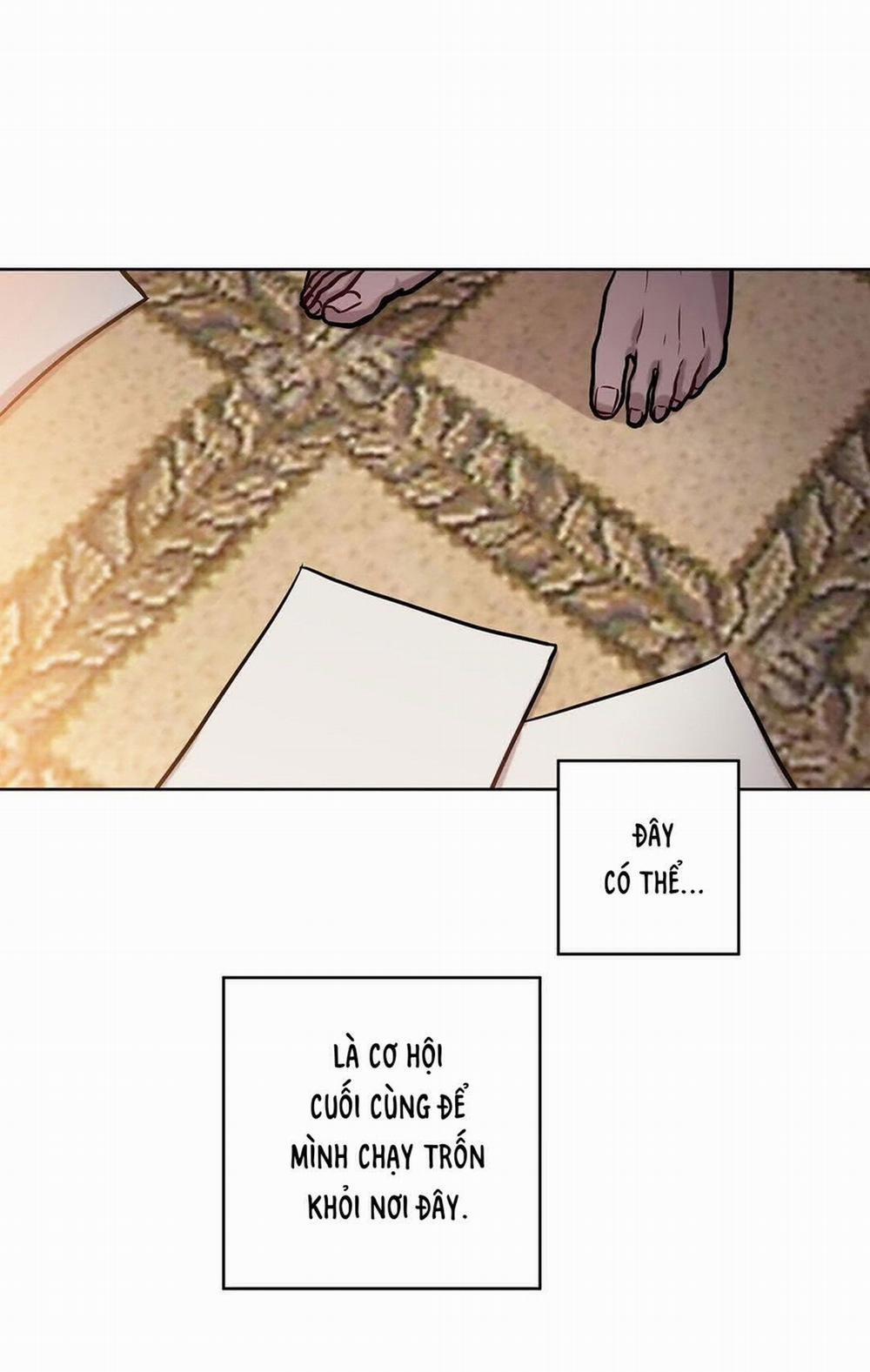 Đắm Chìm Trong Màu Mắt Anh 12 trang 10