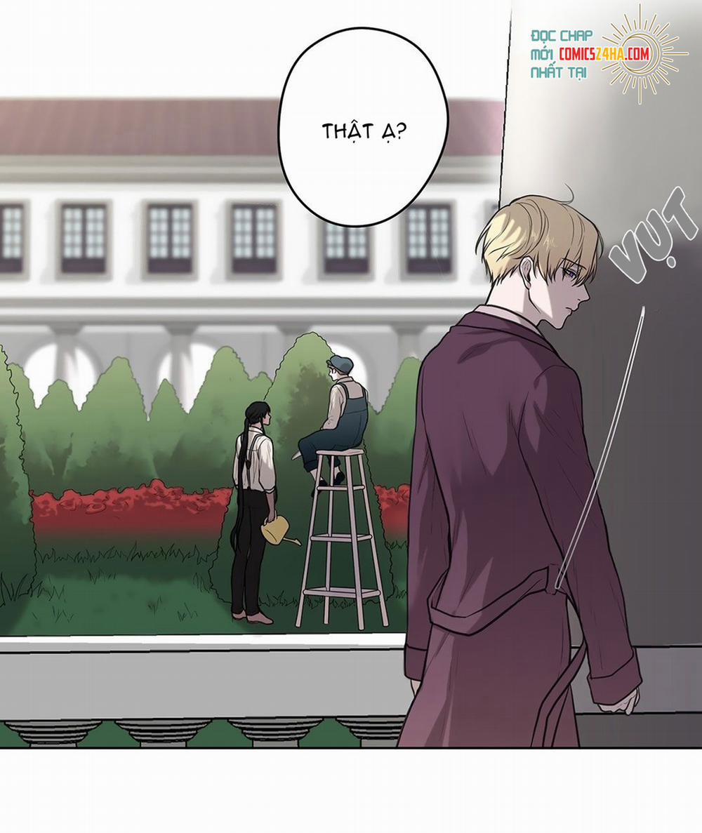 Đắm Chìm Trong Màu Mắt Anh 7 trang 34