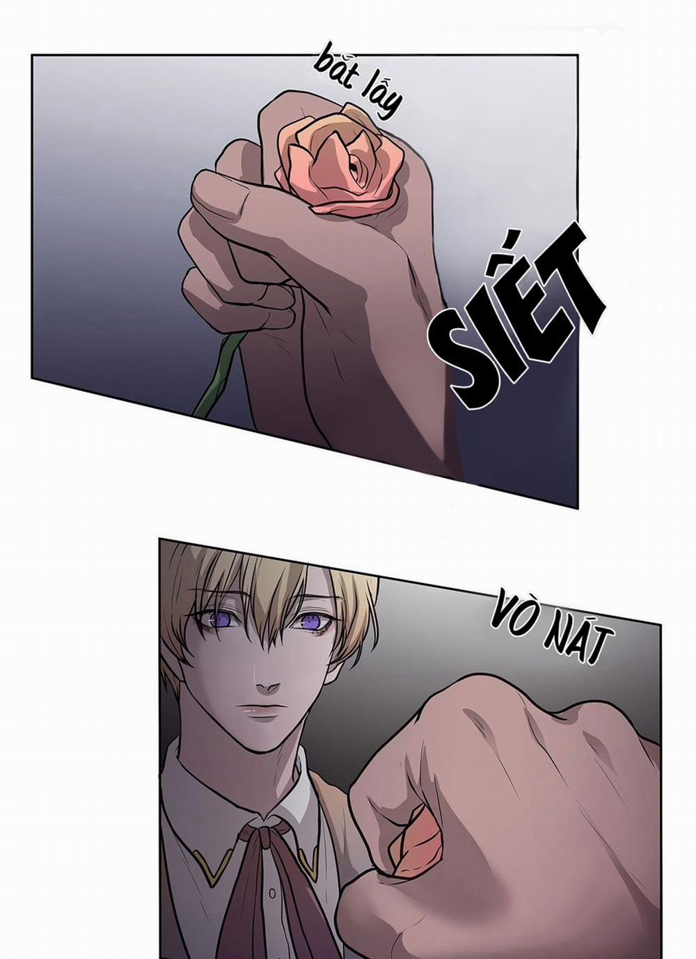 Đắm Chìm Trong Màu Mắt Anh 8 trang 14
