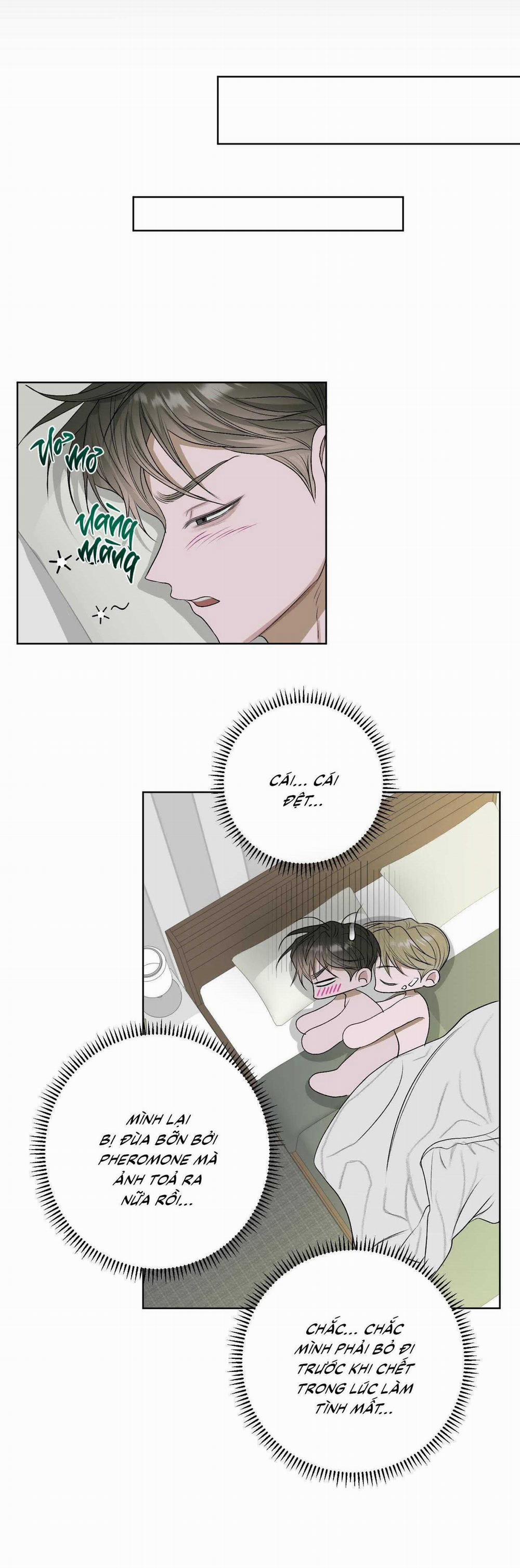 Đầm Sen Héo Úa 25 trang 11