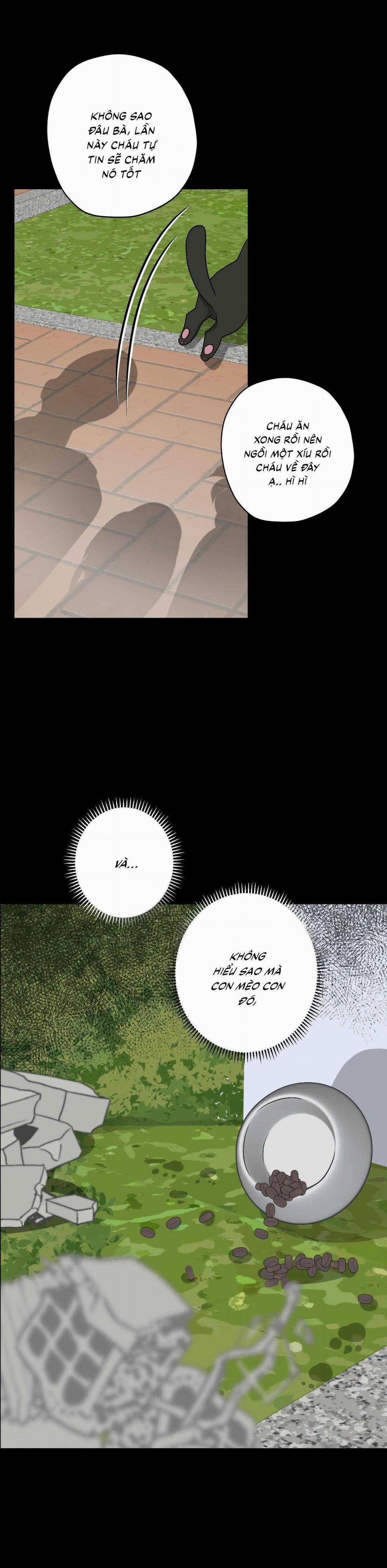 Đầm Sen Héo Úa 25 trang 36