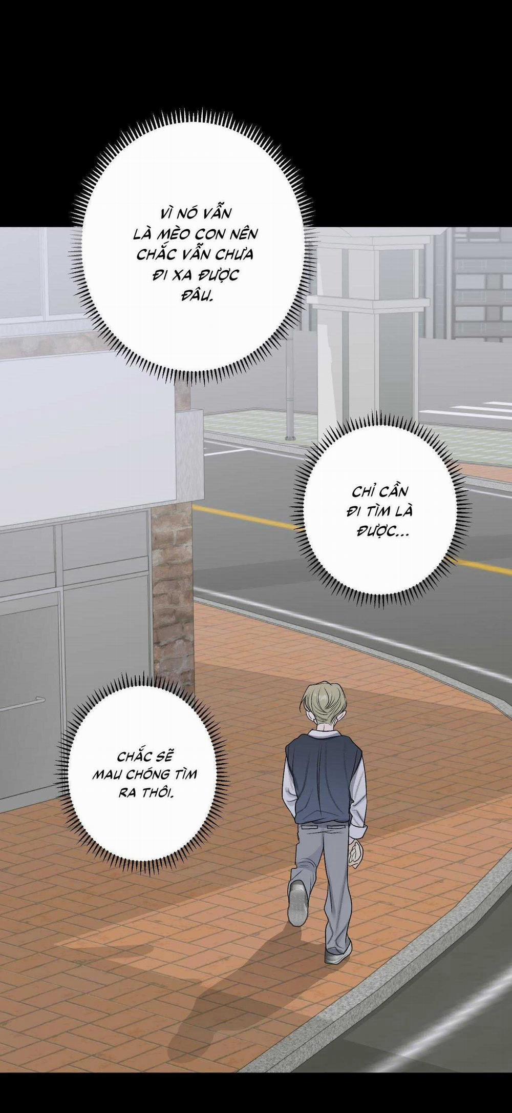 Đầm Sen Héo Úa 26 trang 12