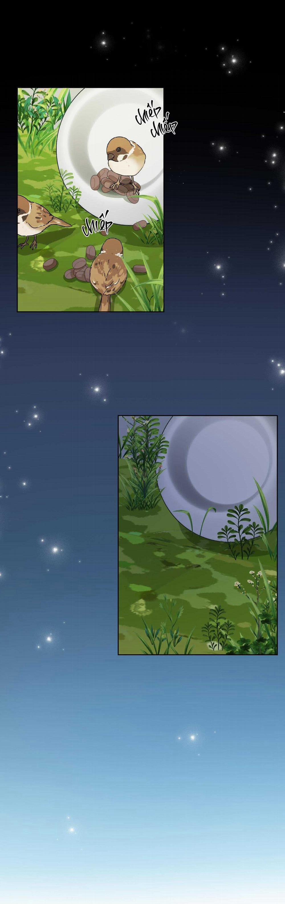 Đầm Sen Héo Úa 26 trang 13