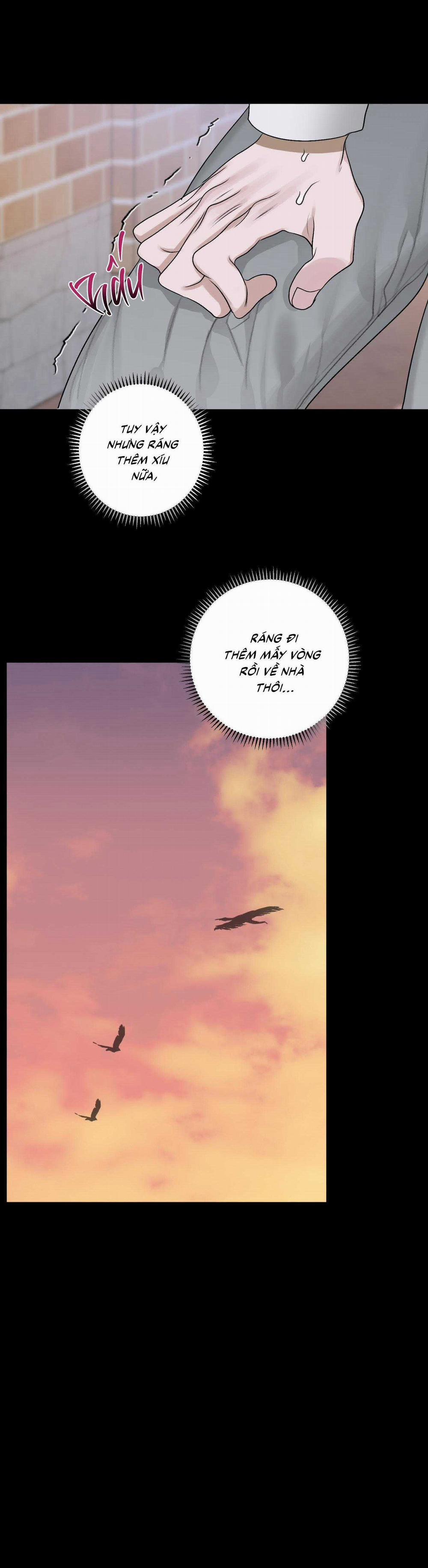 Đầm Sen Héo Úa 26 trang 28