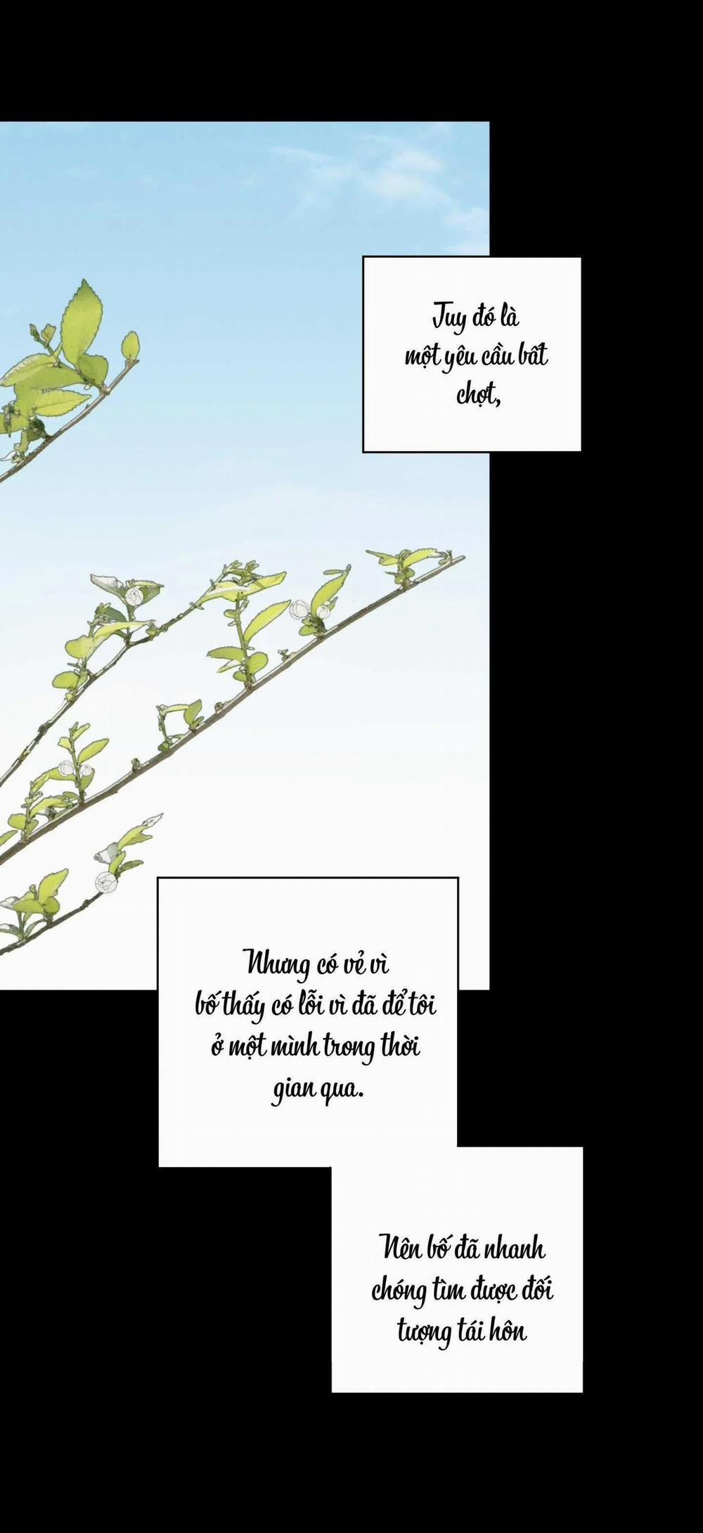 Đầm Sen Héo Úa 26 trang 47