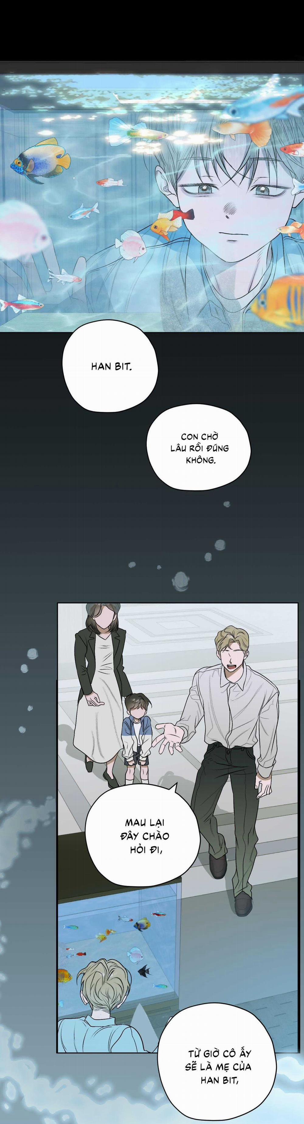 Đầm Sen Héo Úa 26 trang 48