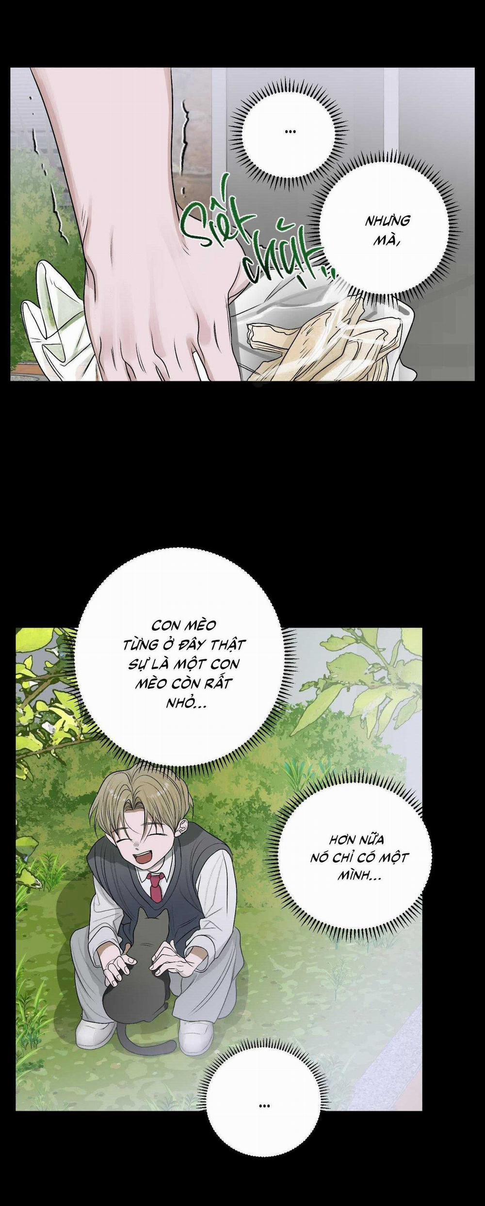 Đầm Sen Héo Úa 26 trang 6