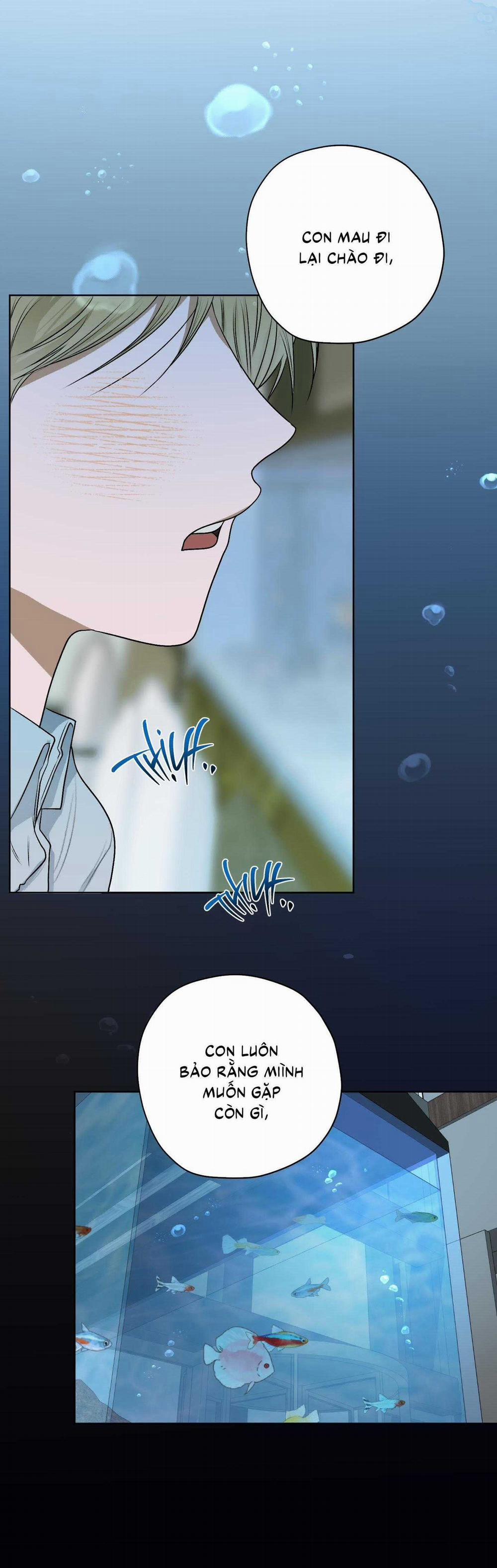 Đầm Sen Héo Úa 27 trang 3