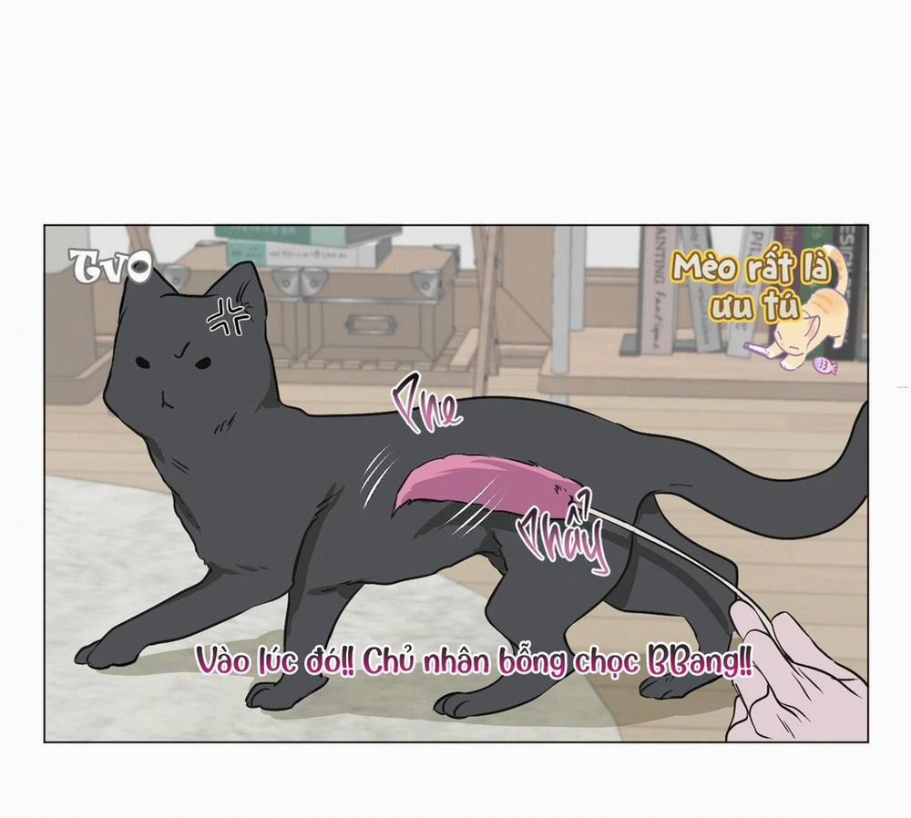 Đầm Sen Héo Úa 3 trang 12