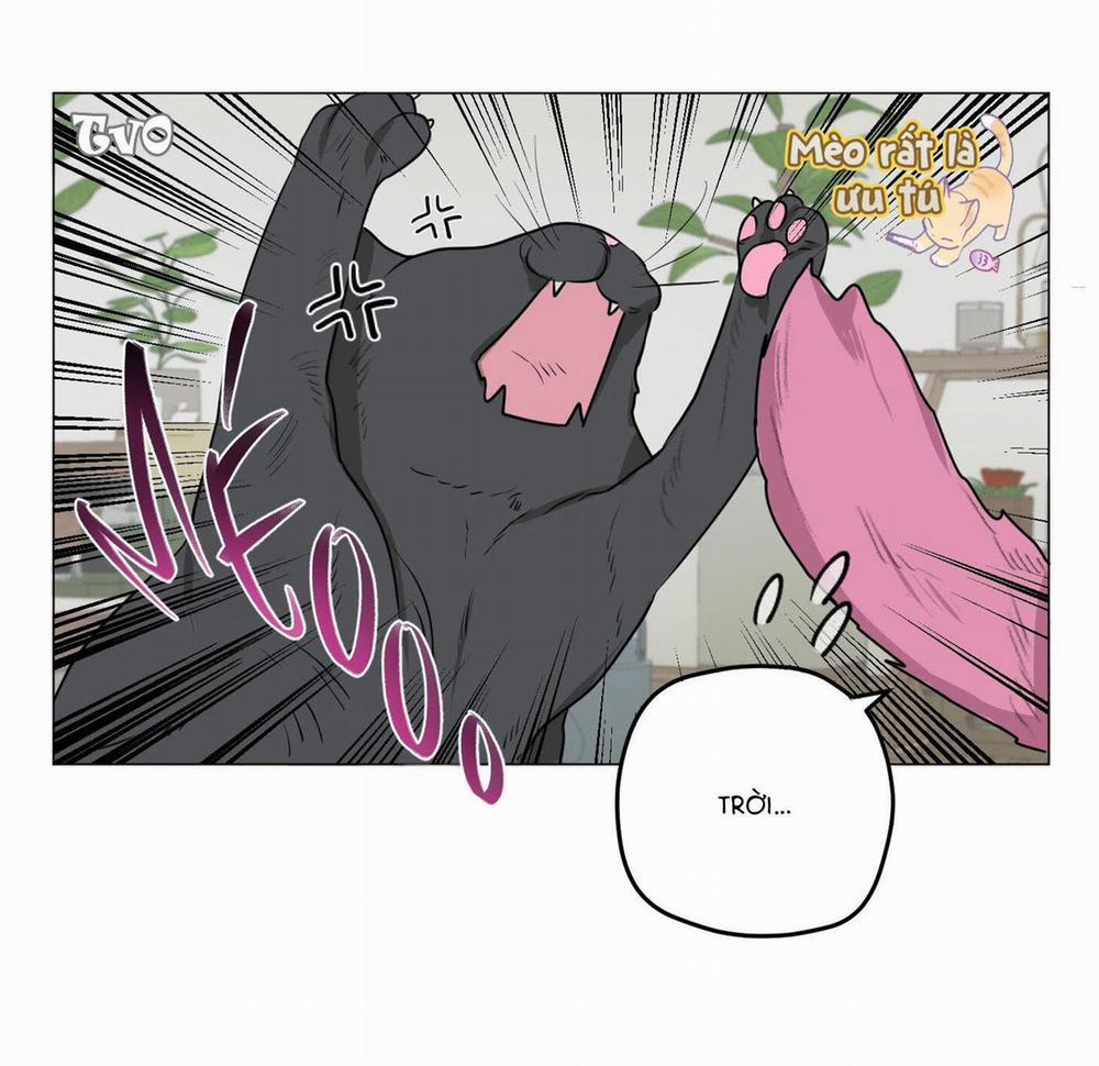 Đầm Sen Héo Úa 3 trang 13