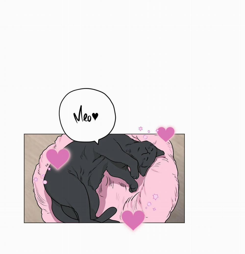 Đầm Sen Héo Úa 3 trang 18