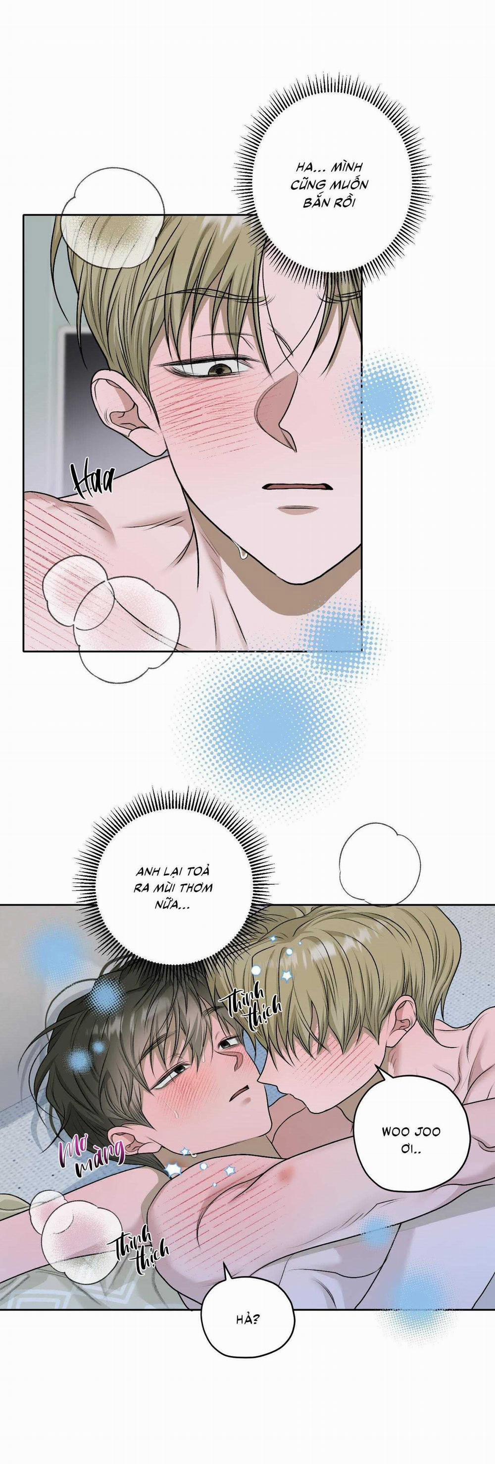 Đầm Sen Héo Úa 35 trang 20