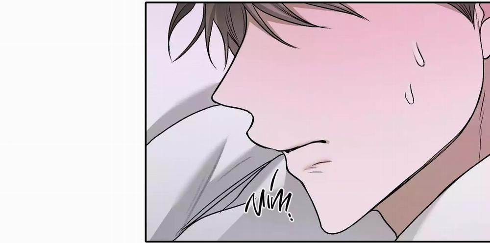 Đầm Sen Héo Úa 42 trang 17