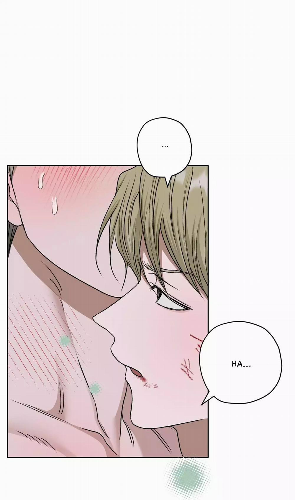 Đầm Sen Héo Úa 43 trang 21