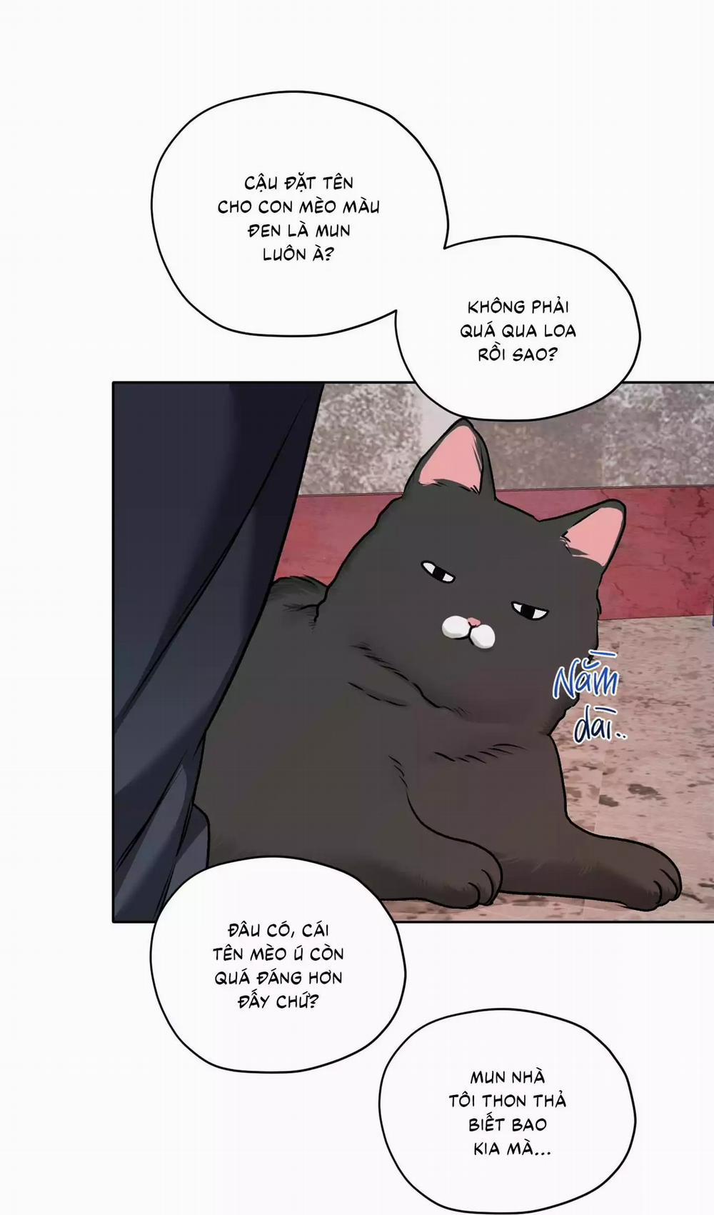 Đầm Sen Héo Úa 45 trang 39