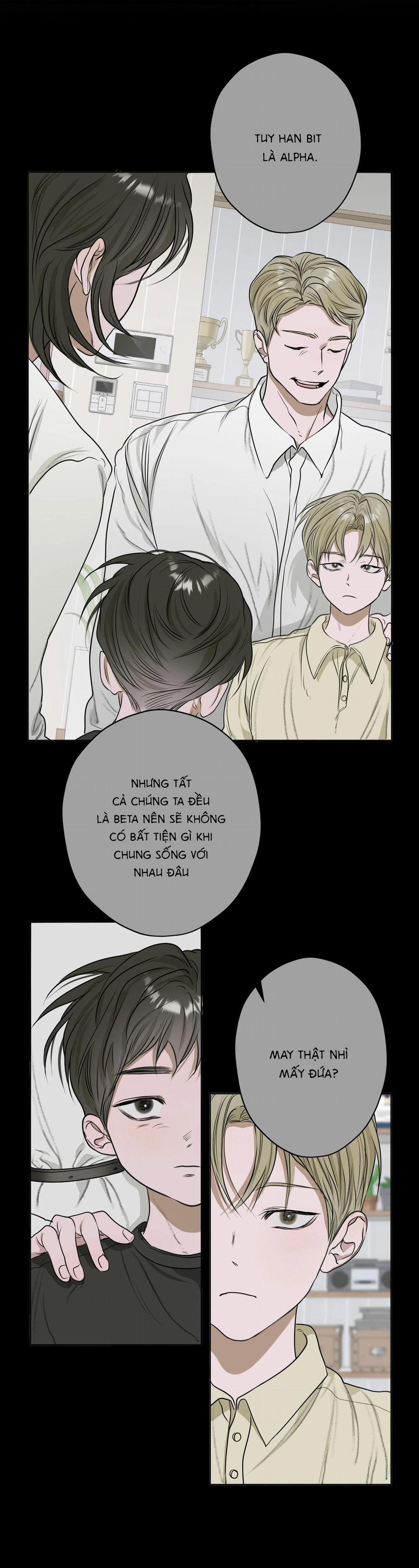 Đầm Sen Héo Úa 5 trang 12