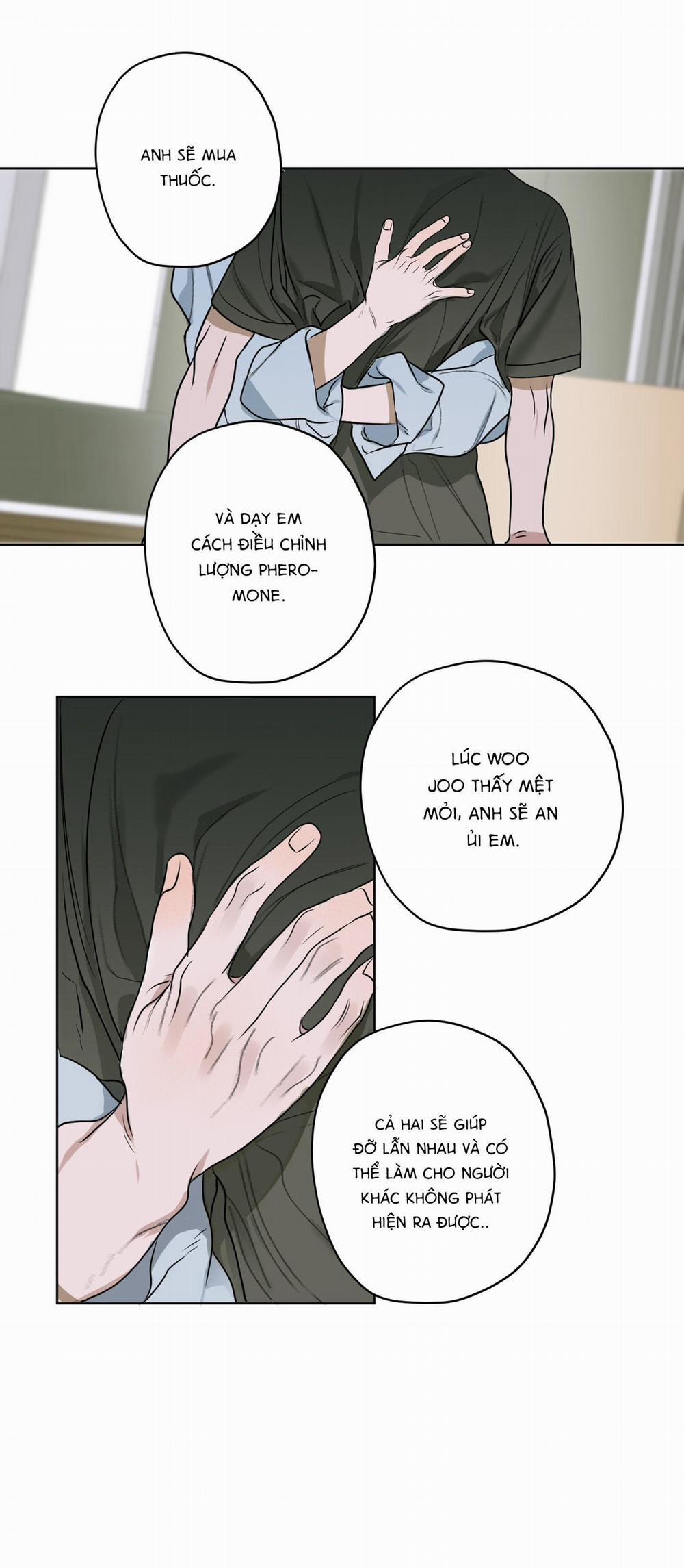 Đầm Sen Héo Úa 6 trang 51