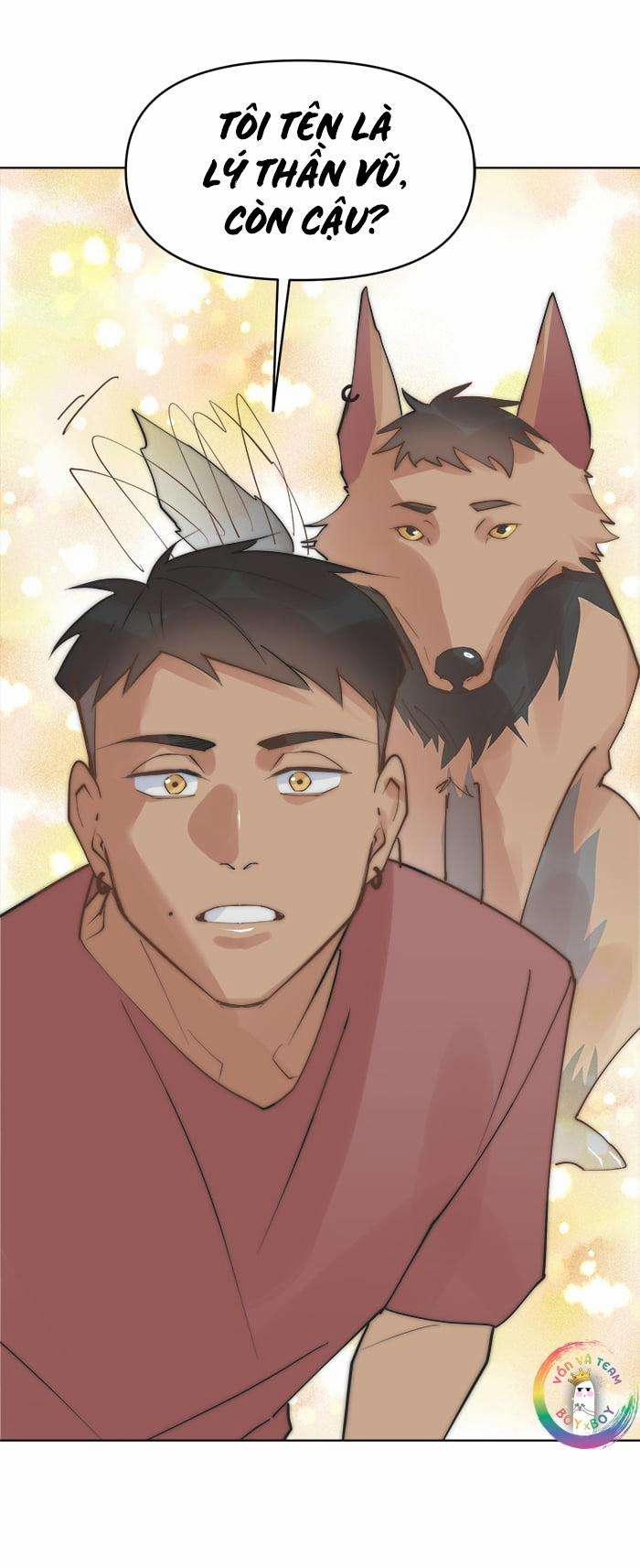 Đàn Anh "sói Ca" Cùng Phòng Của Tôi 43 trang 26