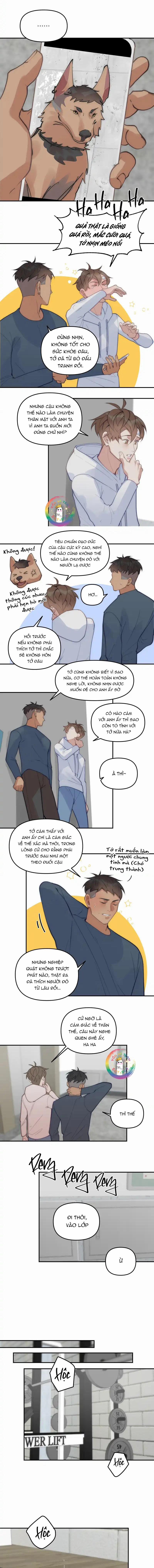 Đàn Anh "sói Ca" Cùng Phòng Của Tôi 68 trang 7