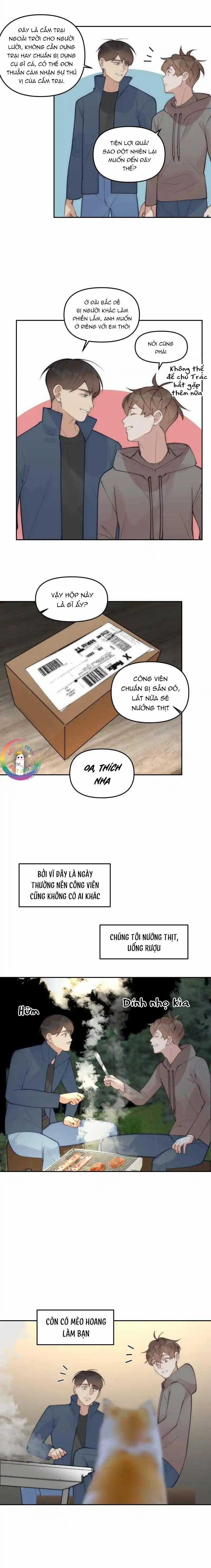 Đàn Anh "sói Ca" Cùng Phòng Của Tôi 81 trang 12