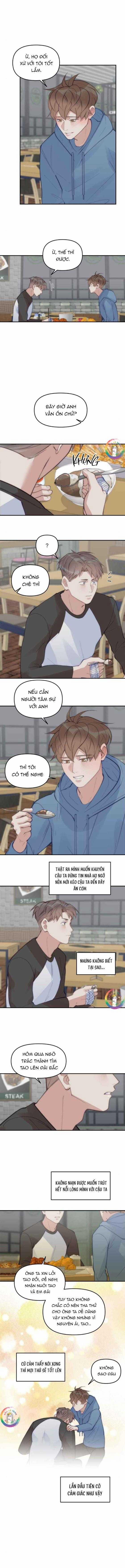 Đàn Anh  61 trang 11