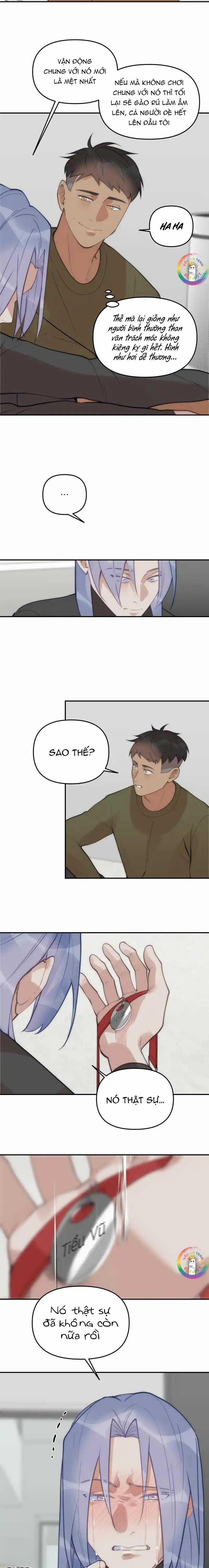 Đàn Anh  63 trang 11