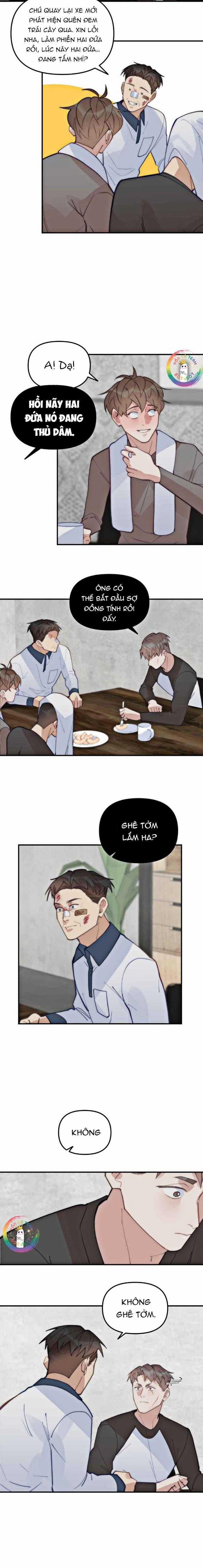 Đàn Anh  65 trang 12