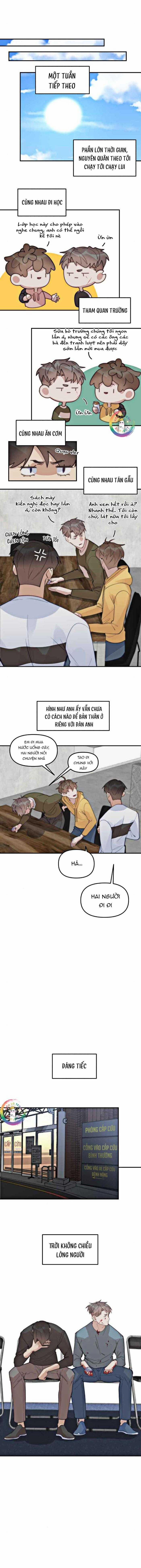 Đàn Anh  67 trang 1