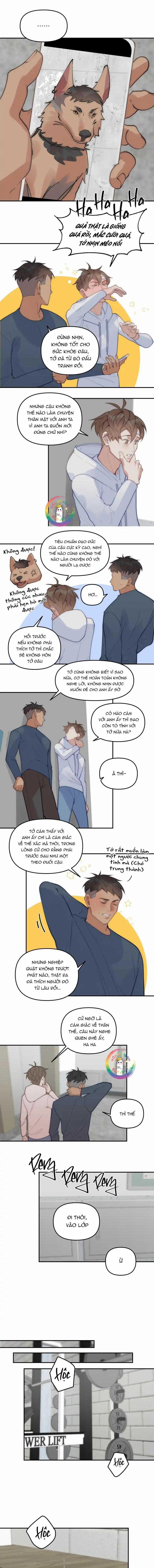 Đàn Anh  68 trang 7