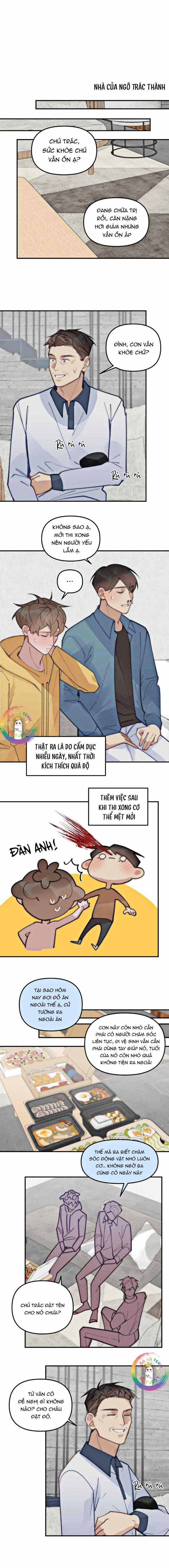 Đàn Anh  75 trang 14