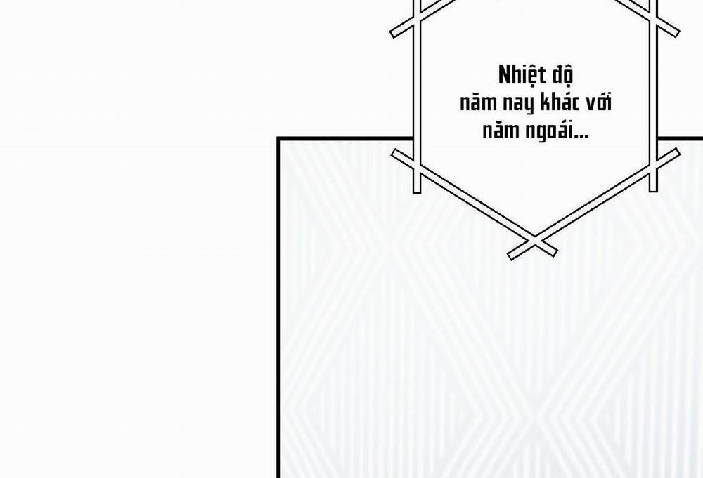 Đàn Thỏ Của Habibi 0 End trang 229