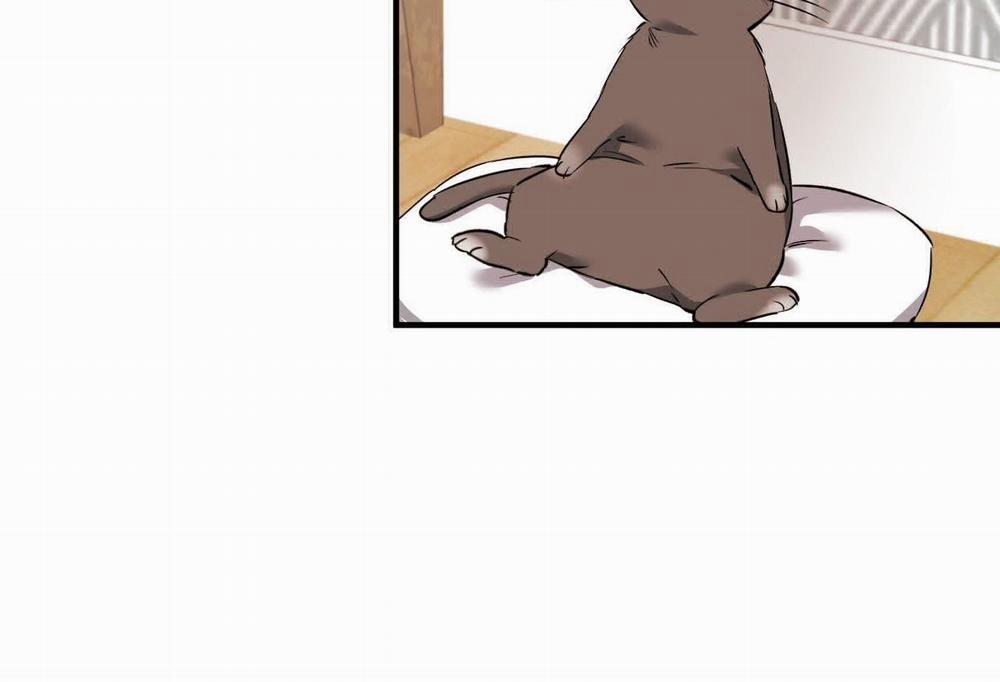 Đàn Thỏ Của Habibi 0 End trang 231