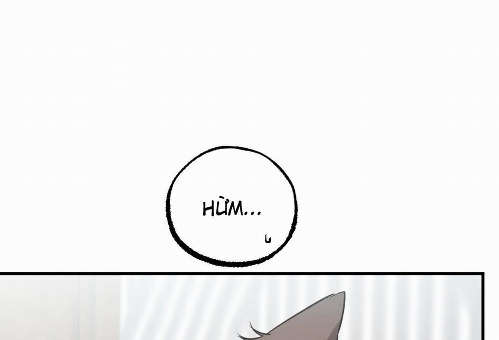 Đàn Thỏ Của Habibi 0 End trang 232