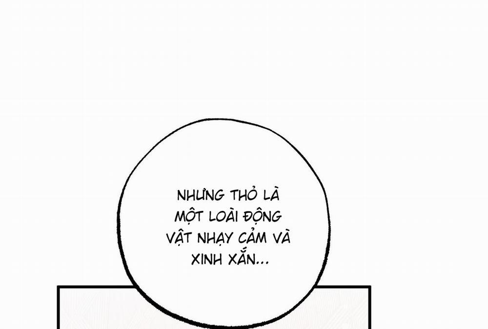 Đàn Thỏ Của Habibi 0 End trang 33