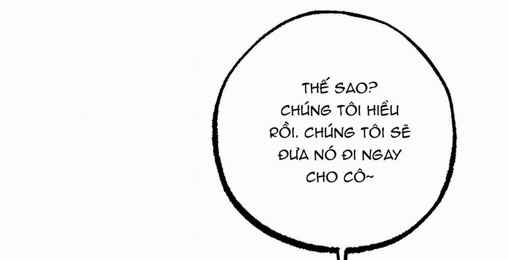 Đàn Thỏ Của Habibi 36 trang 109