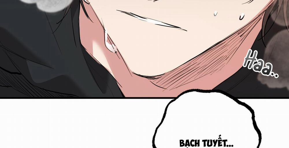 Đàn Thỏ Của Habibi 36 trang 145