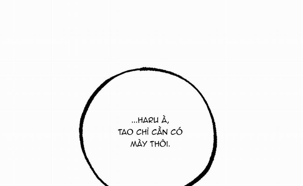 Đàn Thỏ Của Habibi 36 trang 17