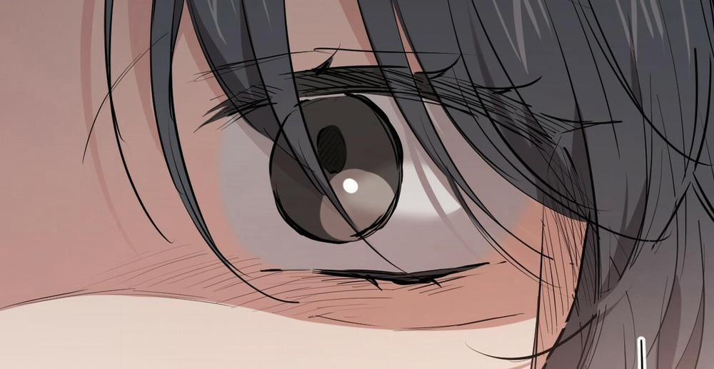 Đàn Thỏ Của Habibi 36 trang 173